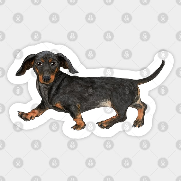 Black and tan dachshund Sticker by Savousepate